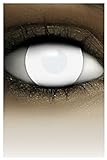 FXCONTACTS Farbige Kontaktlinsen Halloween weiß DEAD ZOMBIE, 2 Stück (1 Paar), Ohne Sehstärke,...