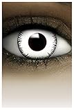 FXCONTACTS Farbige Kontaktlinsen Halloween weiß VAMPIR, 2 Stück (1 Paar), Ohne Sehstärke, leicht...