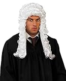 Fun Shack Herren Richter Costume Wig, Einheitsgröße