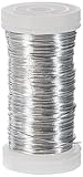 Rayher 2400121 Blumendraht, platin, 0,35 mm ø, Spule 100 m, Material Eisen, nickelfrei,...