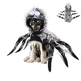 Surakey Haustier Hund Katze Halloween Spinne kostüm, Spinnenkostüm Haustiere Cosplay Kostüm...