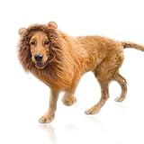 Löwenmähne Perücke für Hundekostüm mit Ohren Haustier Verstellbar Cosplay Urlaub Fotoshootings...