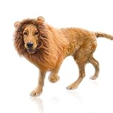 Löwenmähne Perücke für Hundekostüm mit Ohren, verstellbar, für Cosplay, Urlaub, Fotoshootings,...
