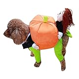 Hund Halloween Kostüm Lustige Teddy -Haustier -Hund -kürbis -Cosplay -kostüm Kleine Hunde und...