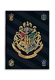 BrandMac Harry Potter Fleece-Decke 100x140 Kuscheldecke Schmusedecke Hogwarts