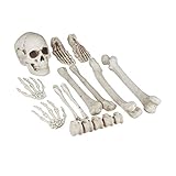 Relaxdays Dekoknochen, 12 TLG Set, Halloween Deko, Außen & Innen, Knochen, Totenschädel &...