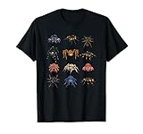 Tarantel Spinnentier Sammlung Geschenk Spinne T-Shirt