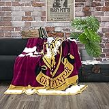 Character World kuschelige Flauschdecke Fleecedecke Harry Potter · 150 x 200 cm · Hogwarts-Schule...