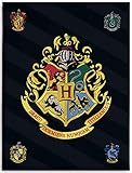 BERONAGE Große Harry Potter Hogwarts Wohndecke 150 x 200 cm super weiche Flanell-Decke Kuscheldecke...