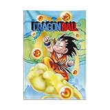 Grupo Erik WandDeko Rollbild Dragon Ball Goku Merch Kakemono aus Stoff Poster 70 x 100 cm Dragon...