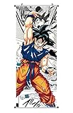 CosplayStudio Großes Dragon Ball Rollbild | Kakemono aus Stoff | Poster 100x40cm | Motiv: Dragon...