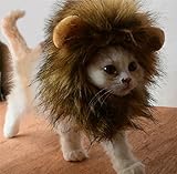 Bello Luna Süße Löwenkostüm, Löwenmähne mit Ohren für Katzen, kleine Hunde oder Welpen, für...