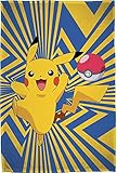 BERONAGE Große Pokémon Wohndecke Go Pikatchu 160 x 200 cm super weiche Flanell-Decke Kuscheldecke...