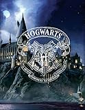 Große Harry Potter Castle Wohndecke 130 x 170 super weiche Coral-Fleecedecke Kuscheldecke...
