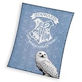 Decke Kuscheldecke Kinderdecke Jugenddecke 100% Polyester Coral 130x170 cm Harry Potter Eule Hedwig