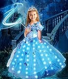 Aschenputtel Kleid für Mädchen Prinzessin Cinderella Kostüm LED Halloween Leuchtendes Prinzessin...