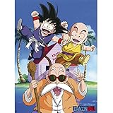 ABYstyle - Dragon Ball - Poster - Kame Team (52x38)